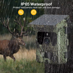 NIGHTLOOKER Wifi-601 Pro Solaire - Piège photographique solaire 4K